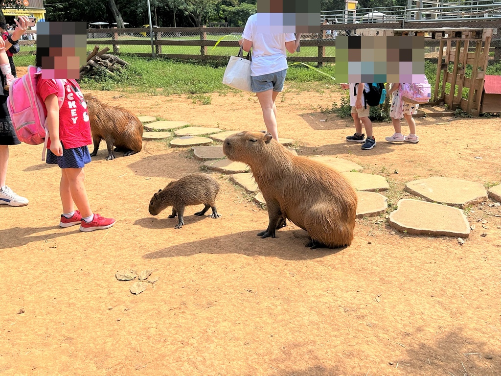 ♪ ♩ ♫~*嘻遊記--桃園楊梅*~♪ ♩ ♫  <埔心牧場