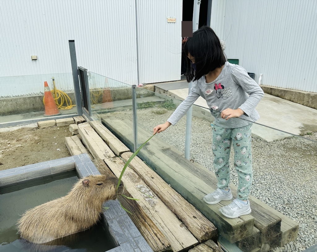 廢物媽媽農場 (33).JPG