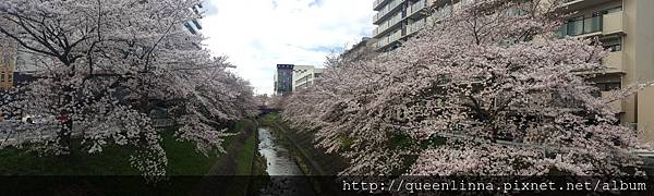 20160402_092927.jpg