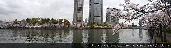 20160405_074404.jpg