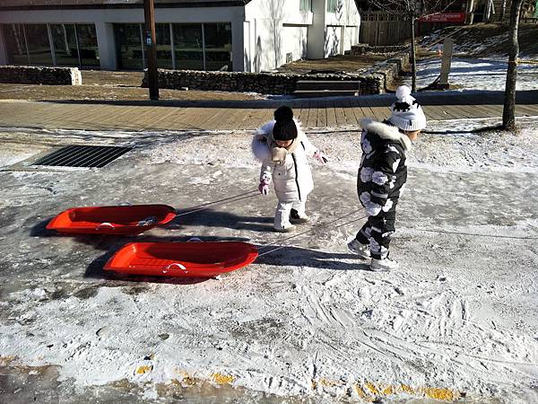 韓國龍平滑雪渡假村︱韓國平昌滑雪︱韓國滑雪渡假村︱奧運滑雪賽