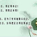 閉曾淏 (1627).jpg