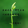 閉曾淏 (1169).jpg