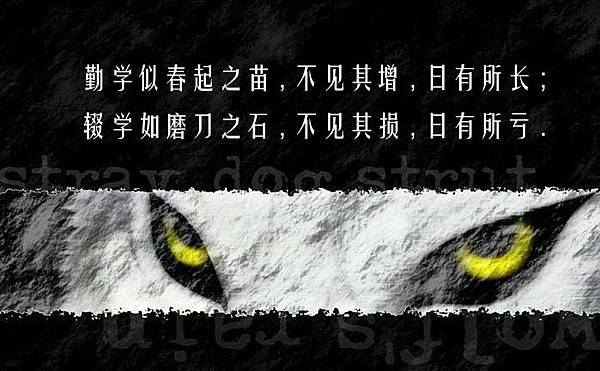 閉曾淏 (1220).jpg