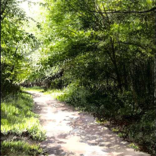 painting-watercolour-spring-woods-trees-path-wakerley