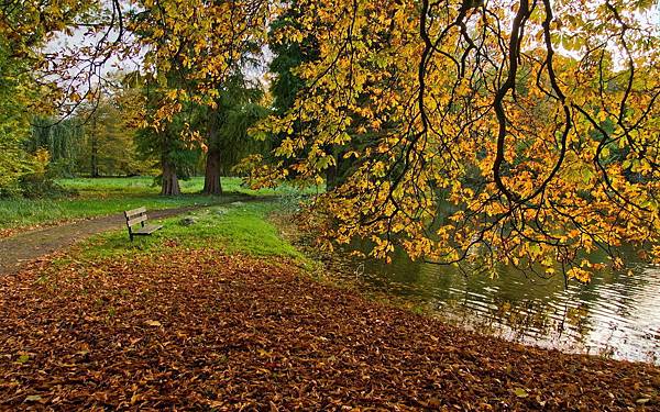 Autumn-lake