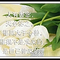 賭 (104).jpg