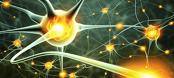 Nerve-Conduction-Study