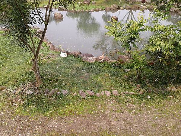 2016-04-03 12.40.22.jpg