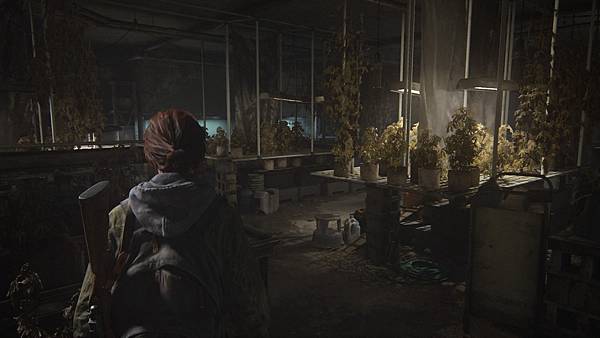 The Last of Us™ Part II_20201118115140.jpg