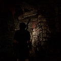 Shadow of the Tomb Raider_26.jpg