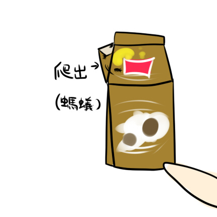 茶13.jpg