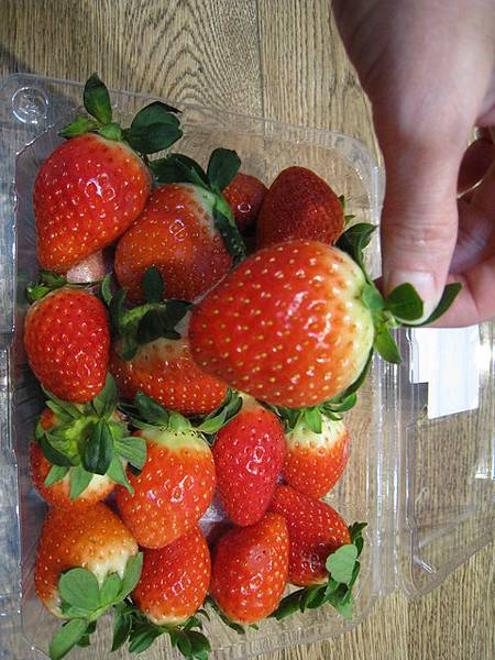 草莓草莓~~~這邊有真正好看又好吃的草莓~