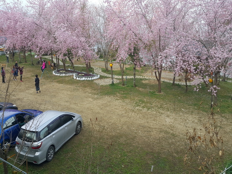 20160308_080527.jpg 20160308_080527.jpg