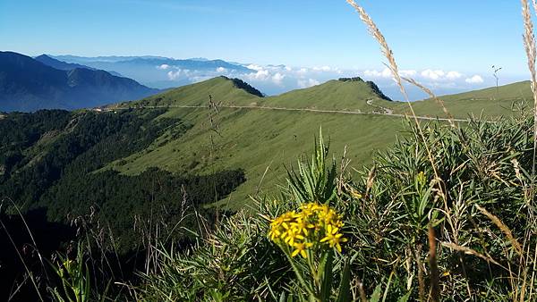 20160825_070809.jpg 20160825_070809.jpg