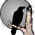 raven-1093541_960_720.png