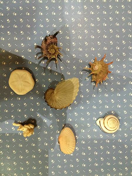 IMG_7083.JPG IMG_7083.JPG