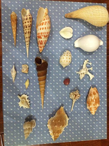 IMG_7078.JPG IMG_7078.JPG