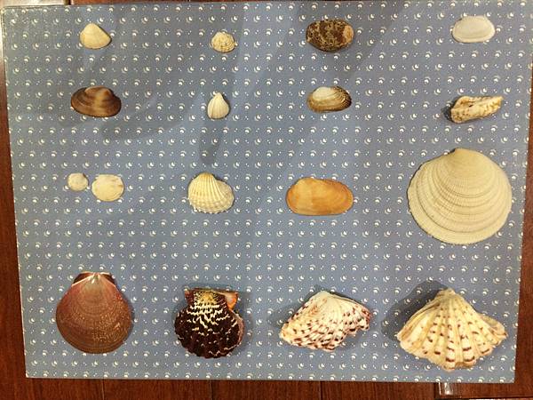 IMG_7084.JPG IMG_7084.JPG