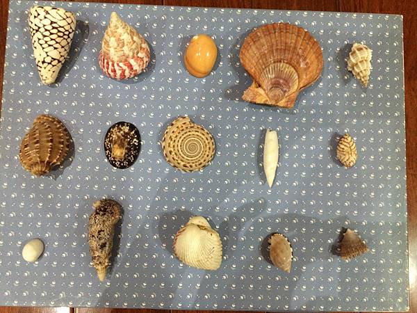 IMG_7079.JPG IMG_7079.JPG