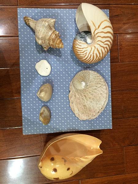 IMG_7085.JPG IMG_7085.JPG