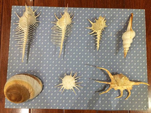 IMG_7086.JPG IMG_7086.JPG