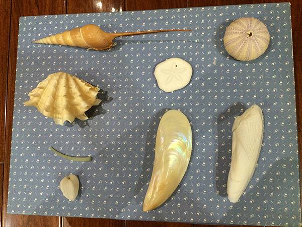 IMG_7088.JPG IMG_7088.JPG