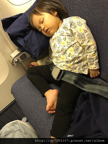 IMG_0421.jpg IMG_0421.jpg