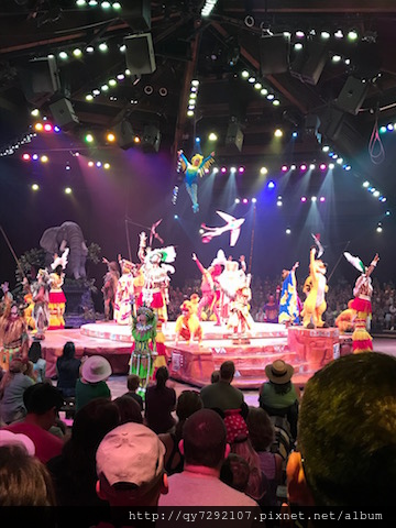 IMG_0480.jpg IMG_0480.jpg