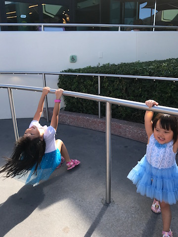 IMG_0536.jpg IMG_0536.jpg