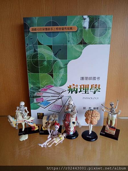 received_2466249020056630.jpeg received_2466249020056630.jpeg
