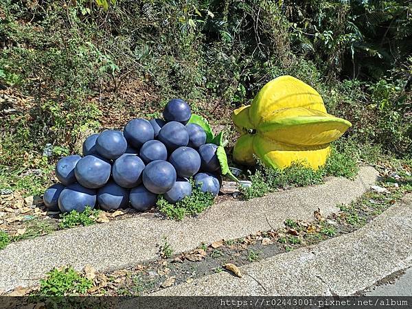 [活動]拜訪苗栗四大水果金剛