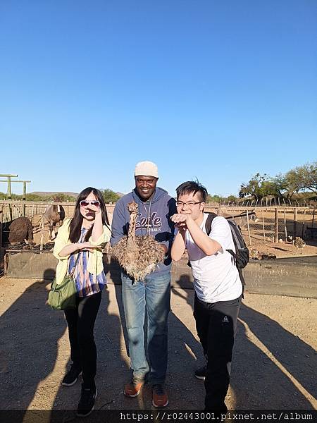 [南非]南非鴕鳥觀察日記-歐茲頌鴕鳥養殖場