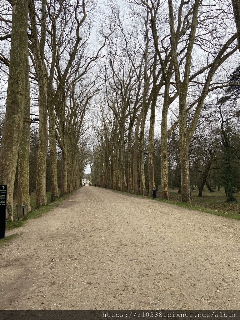 香濃頌堡舍農索雪儂梭 城堡 Chateau de Chenonceau (2).JPG