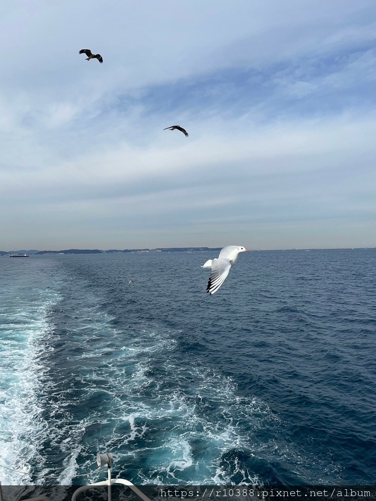 東京灣渡輪Tokyo Bay Ferry8.JPEG