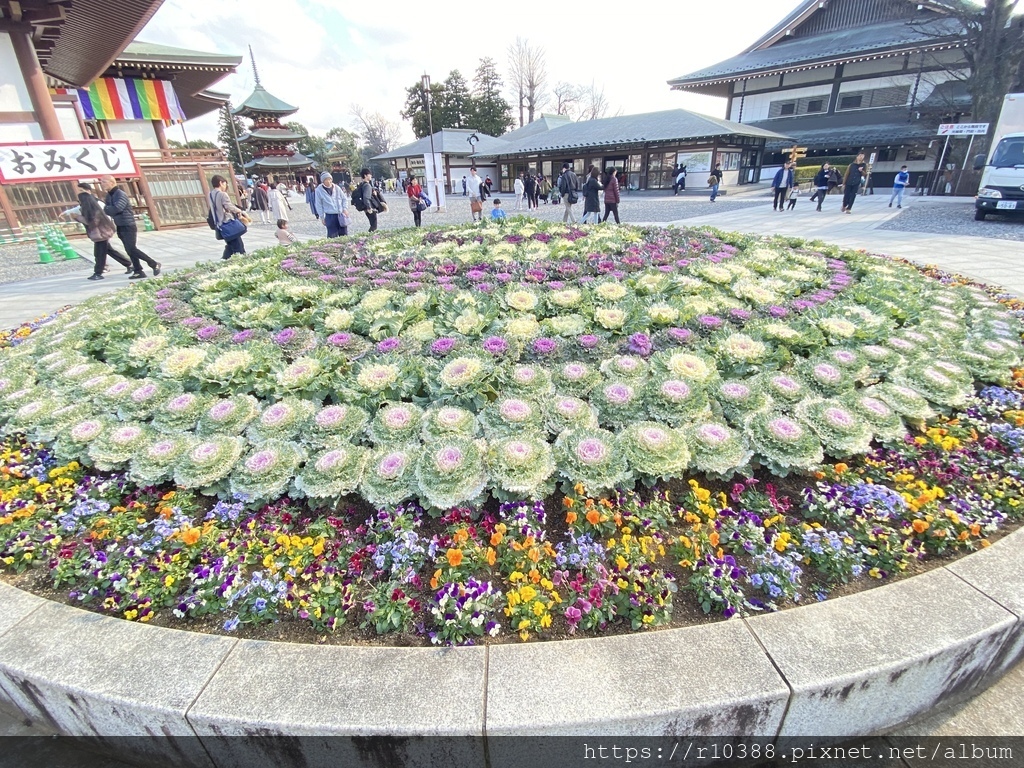 東京成田機場附近推薦景點：新勝寺Recommended Attractions near Tokyo Narita Airport: Shinshoji Temple5.jpg