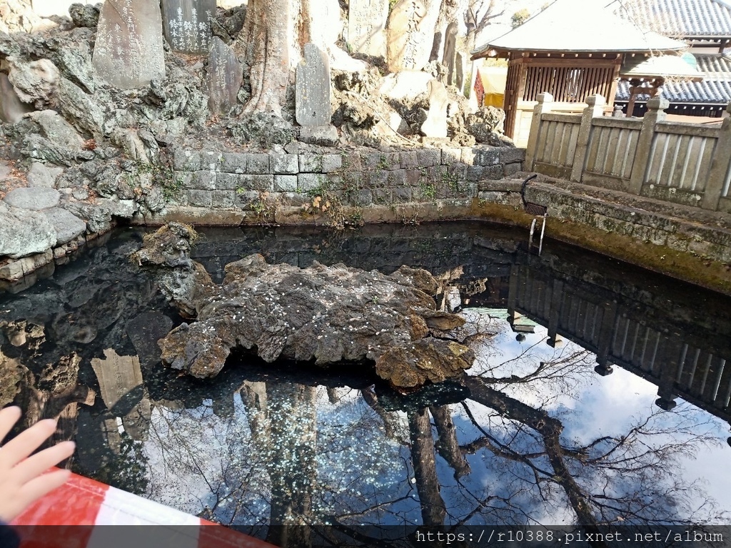 東京成田機場附近推薦景點：新勝寺Recommended Attractions near Tokyo Narita Airport: Shinshoji Temple12.JPG