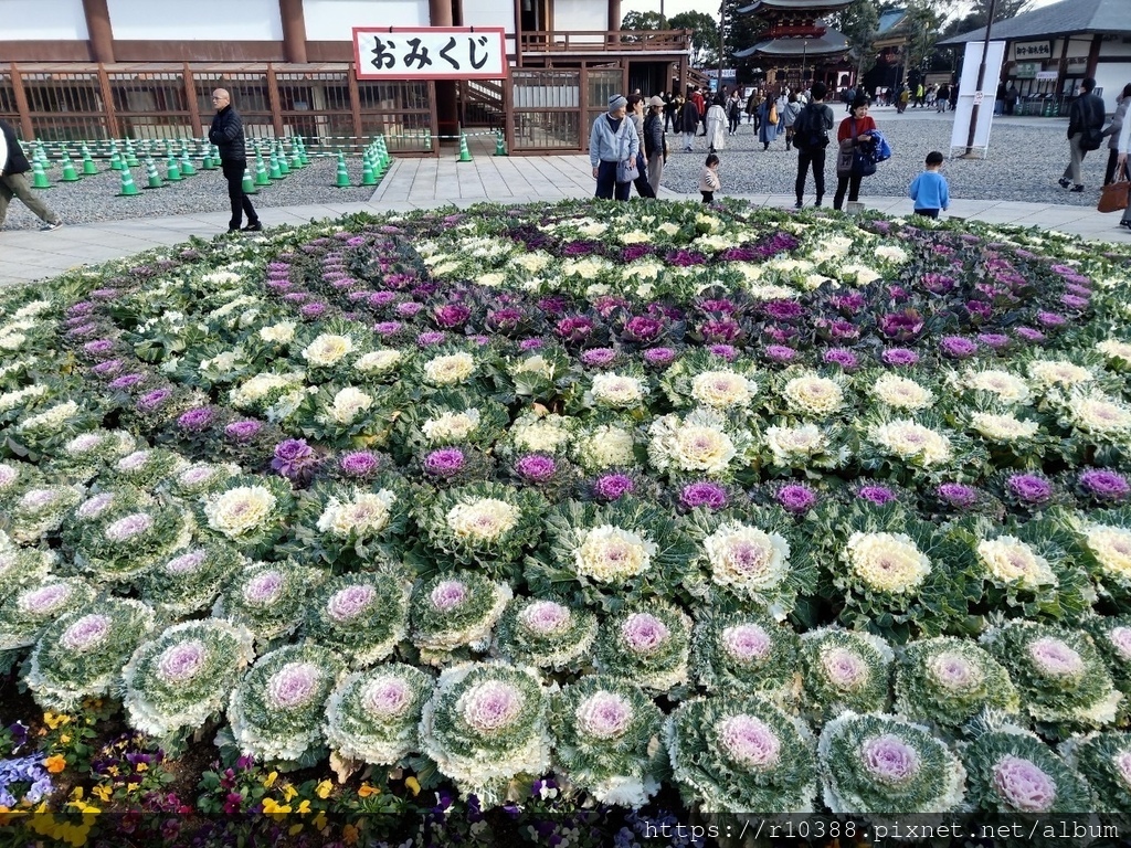 東京成田機場附近推薦景點：新勝寺Recommended Attractions near Tokyo Narita Airport: Shinshoji Temple13.JPG