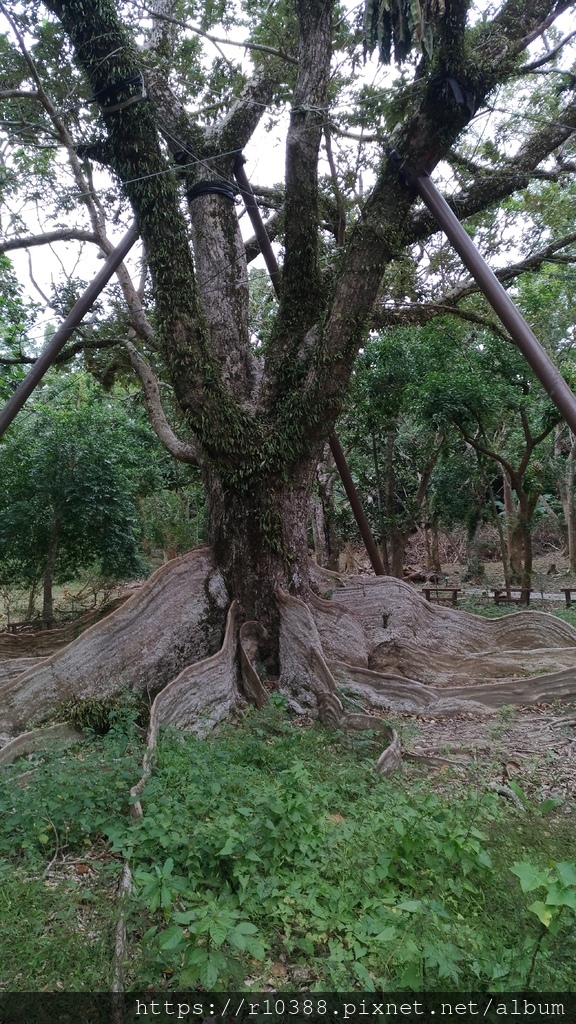 墾丁國家公園一日遊10.jpg