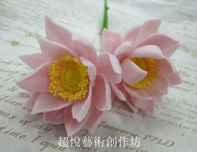 DSC02855_副本-1 DSC02855_副本-1