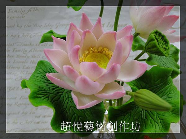 DSC02863_副本 DSC02863_副本