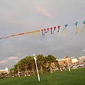 公園裡的風箏.JPG