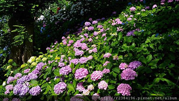 P_20160612_084041.jpg