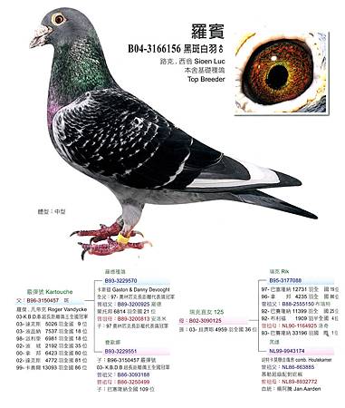 SKMBT_C35314041221421 SKMBT_C35314041221421