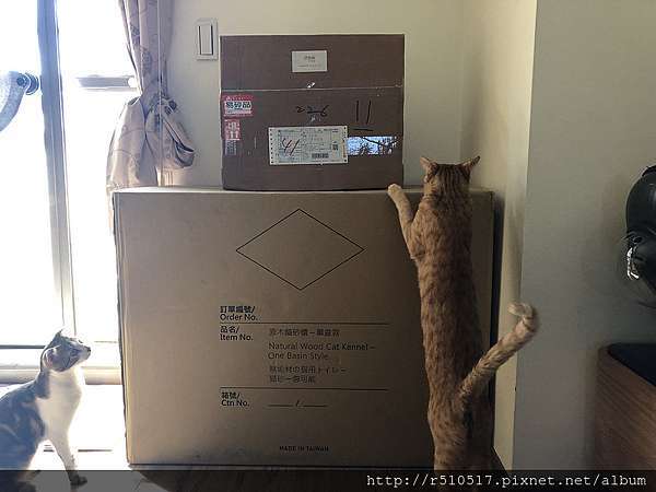 開箱 終結家裡沙漠的 拍拍原木貓砂櫃 Lu拉拉是對夫妻 痞客邦