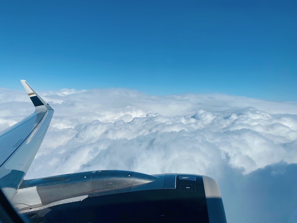 [遊記]Visit Japan Web申請介紹與實際海關記錄