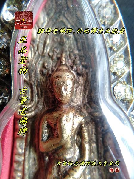 泰國老佛牌 龍婆班神獸崇迪 單尾雞老佛牌 旗頂佛祖 金力泥老佛牌一生好牌