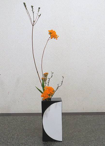15年12月7日的池坊作品 自由花 小蕭的秘密花園 痞客邦