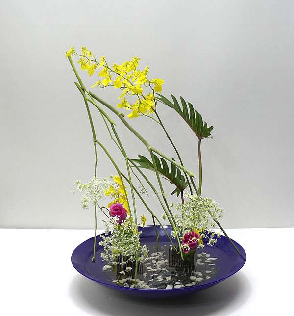 19年1月28日的池坊作品 自由花 小蕭的秘密花園 痞客邦