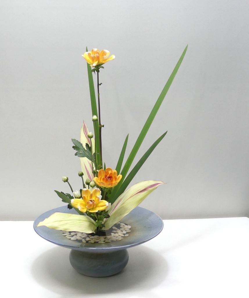 19年2月18日的池坊作品 盛花 小蕭的秘密花園 痞客邦 19年2月18日的池坊作品 盛花 小蕭的秘密花園 痞客邦